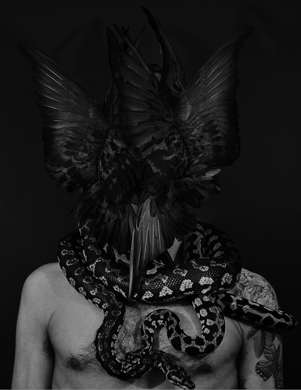 Archillect ID 6099