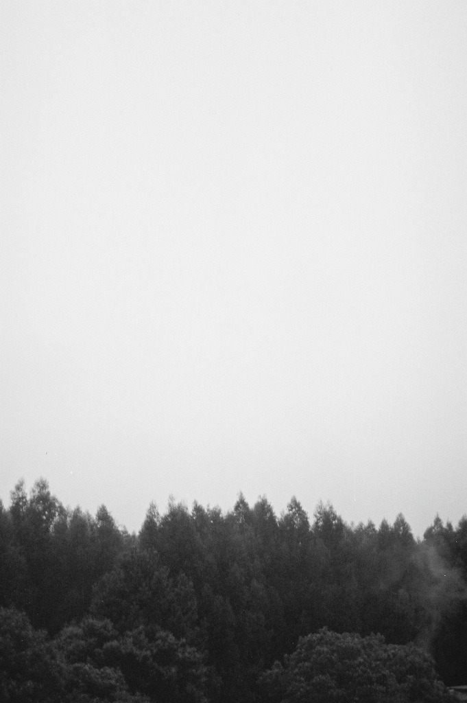 Archillect ID 6132