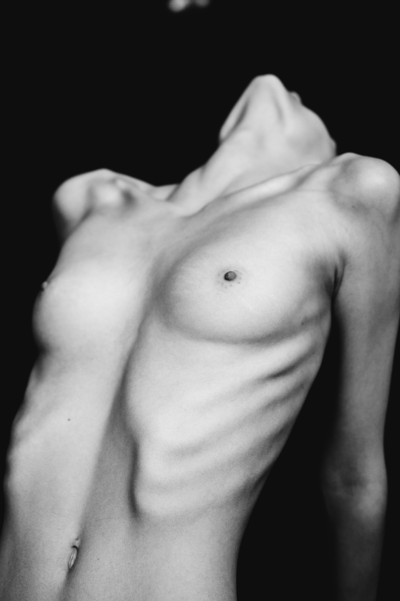 Archillect Archive ID 614