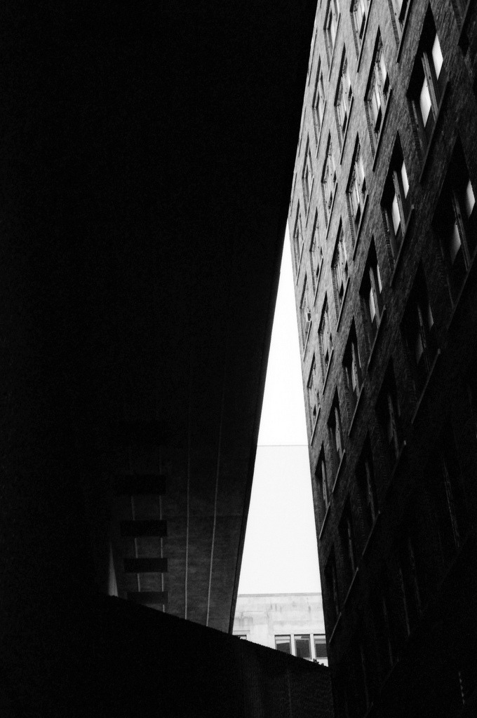 Archillect ID 6159