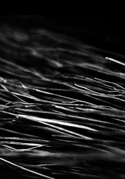 Archillect Archive ID 616