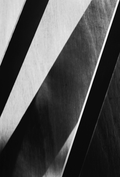 Archillect ID 6209