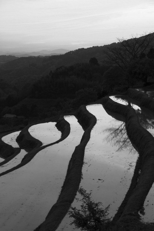 Archillect ID 6305