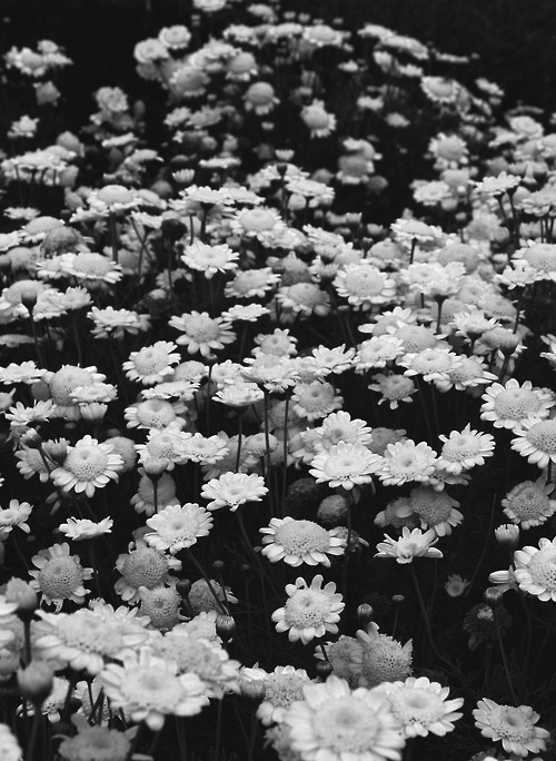 Archillect Archive ID 634