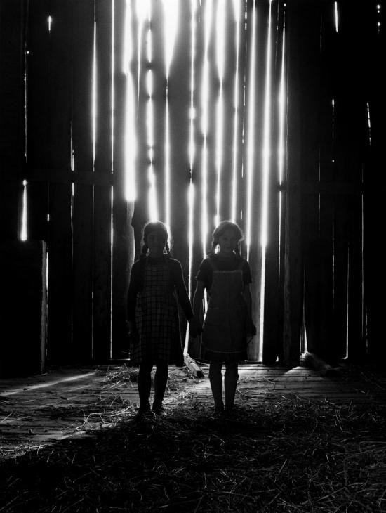 Archillect ID 6364