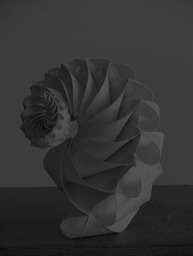 Archillect ID 6384
