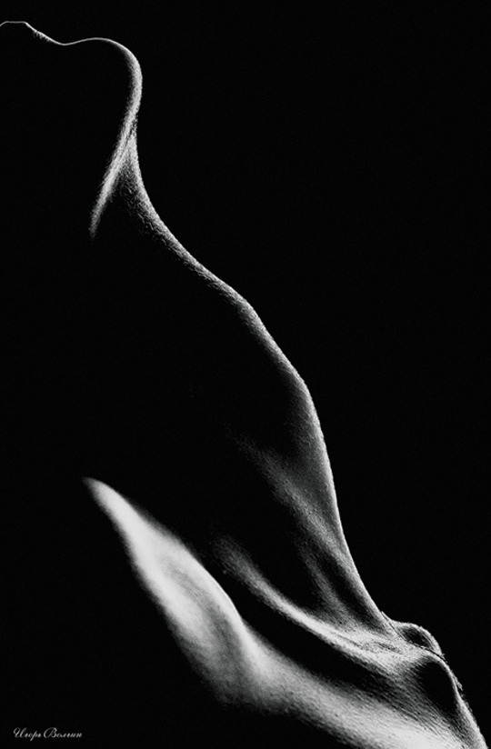 Archillect ID 6393