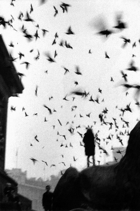 Archillect ID 6394