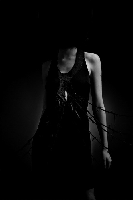 Archillect Archive ID 647