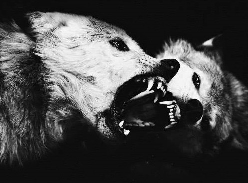 Archillect ID 6505