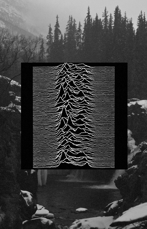 Archillect ID 6512