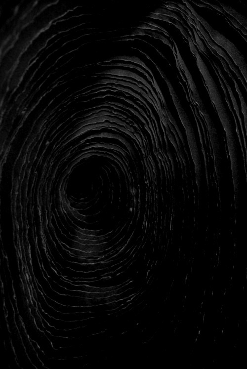 Archillect ID 6518