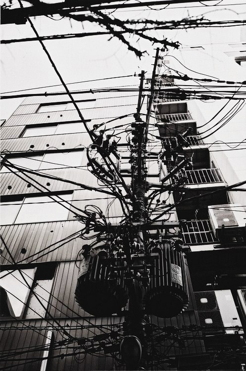 Archillect ID 6530