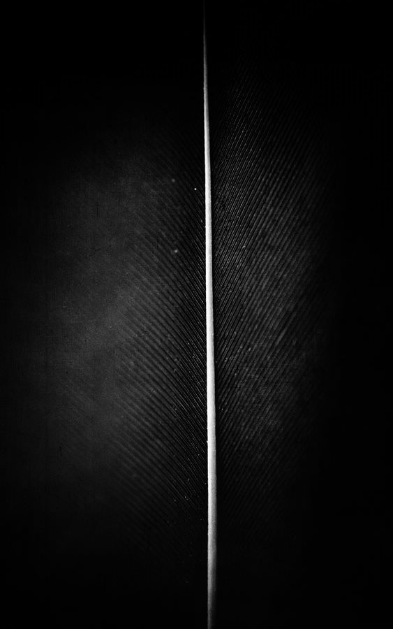 Archillect ID 6576