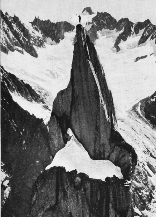 Archillect Archive ID 659