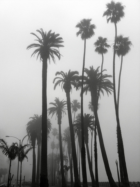 Archillect ID 6603