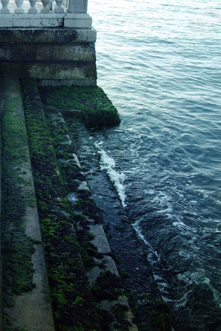 Archillect ID 6607