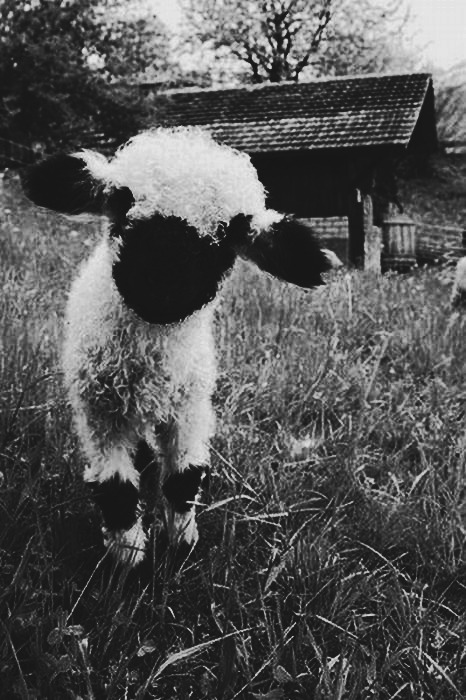 Archillect Archive ID 6648