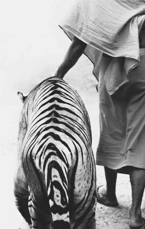 Archillect Archive ID 6667