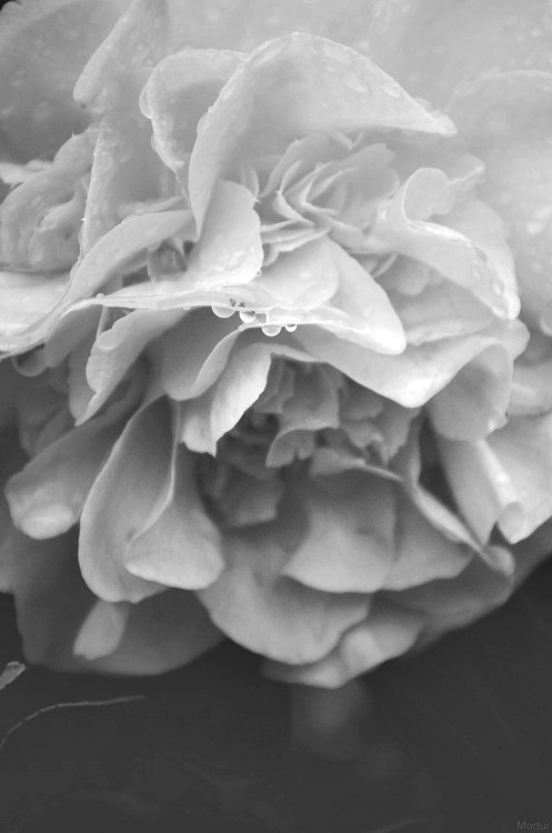 Archillect Archive ID 6699