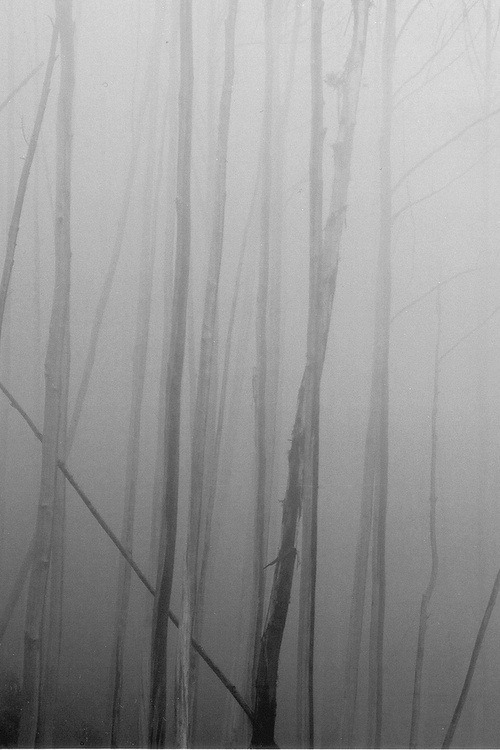 Archillect Archive ID 6731