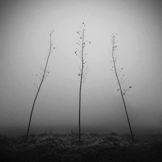Archillect Archive ID 6779