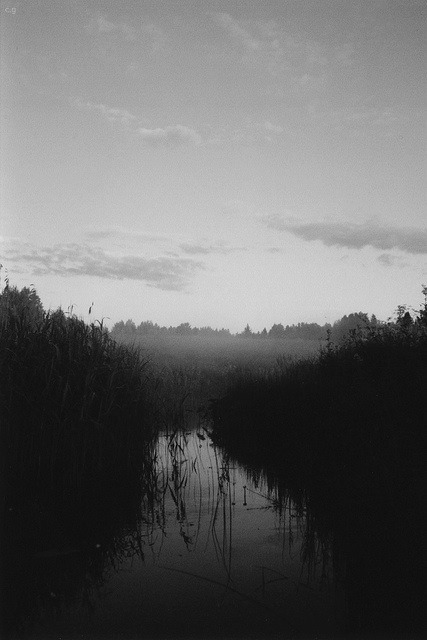 Archillect Archive ID 679