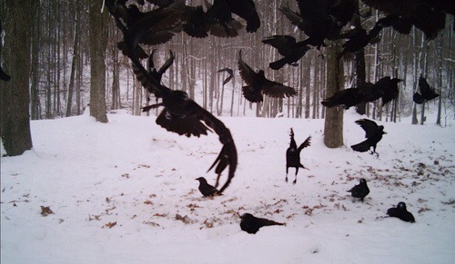 Archillect Archive ID 6951