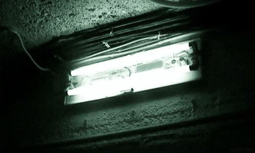 Archillect Archive ID 6978