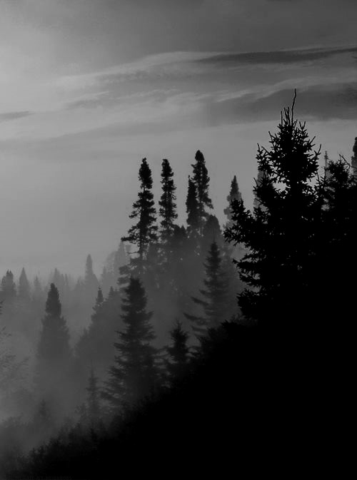 Archillect Archive ID 6983