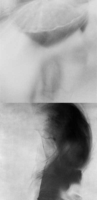 Archillect Archive ID 7031