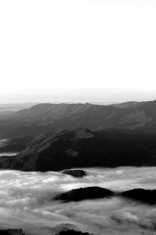 Archillect Archive ID 7248