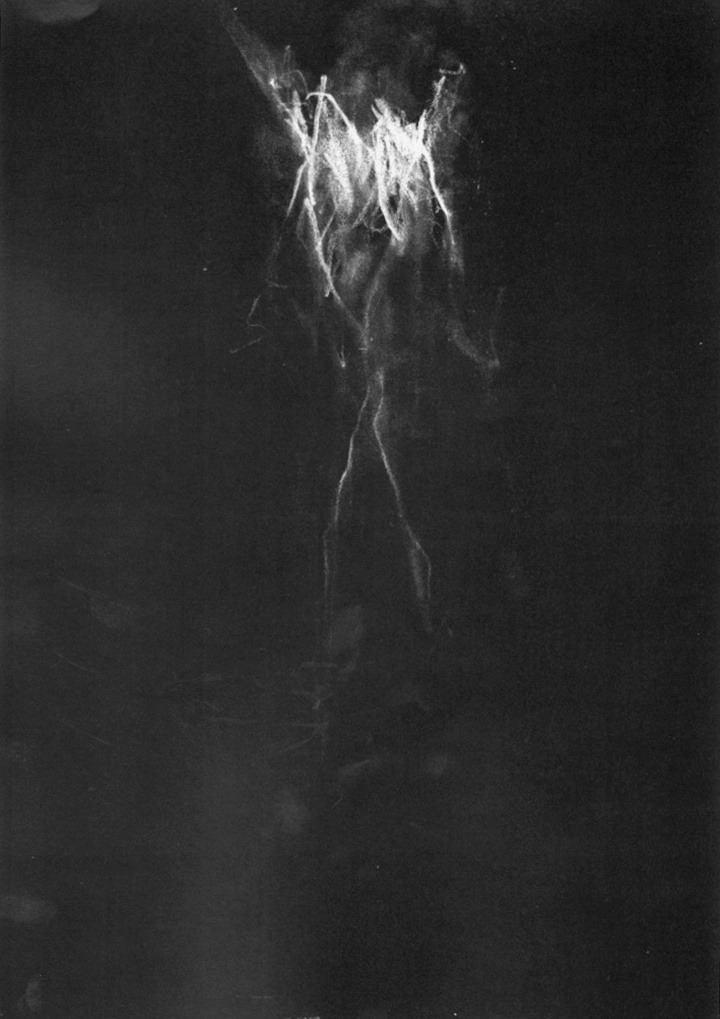 Archillect Archive ID 7327