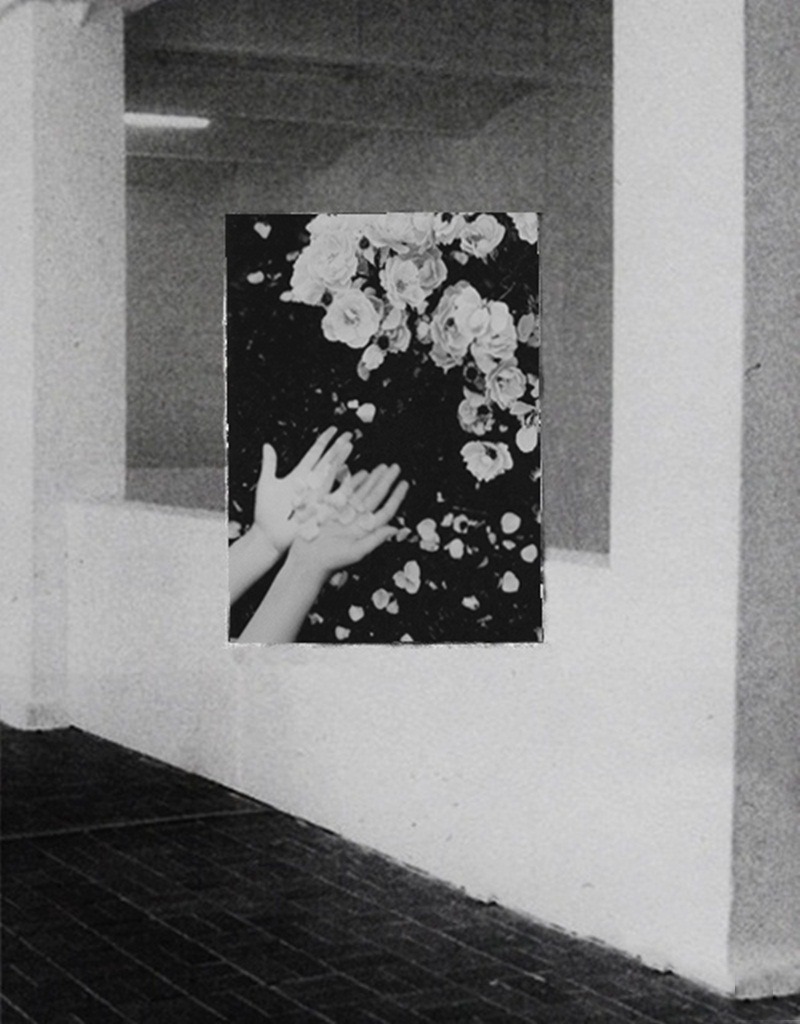 Archillect Archive ID 7464