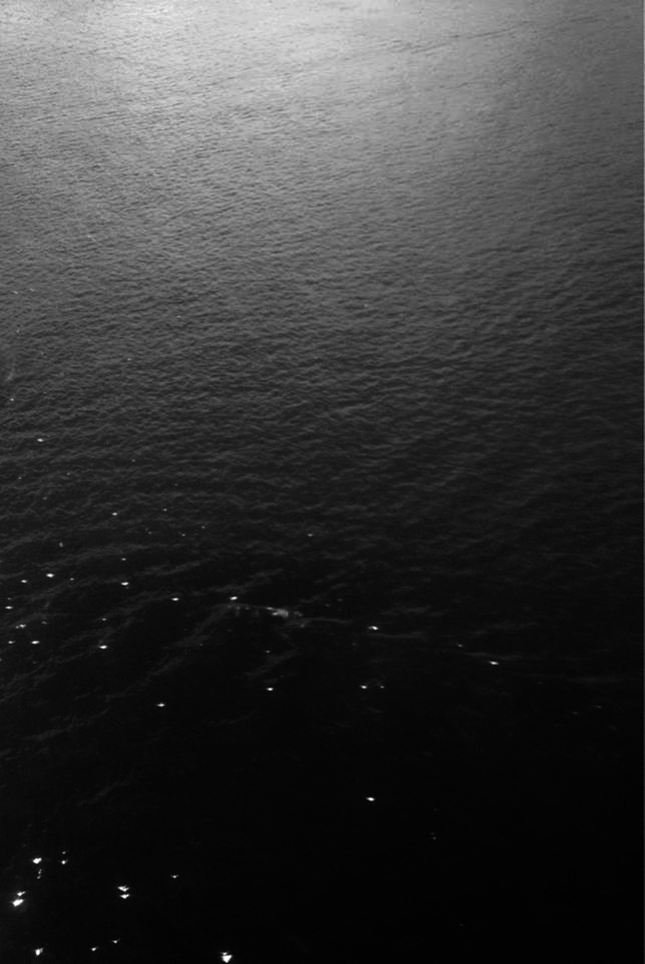 Archillect Archive ID 7466