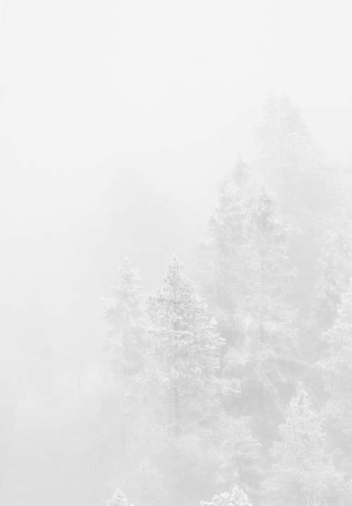 Archillect Archive ID 7479