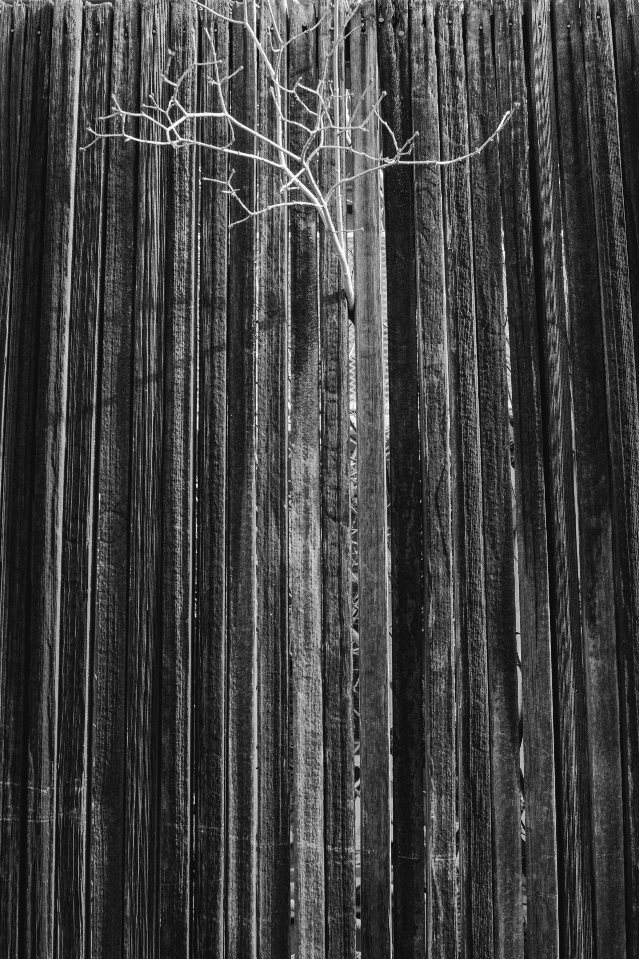 Archillect Archive ID 7528