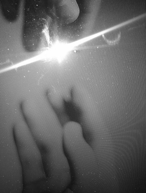 Archillect Archive ID 7562
