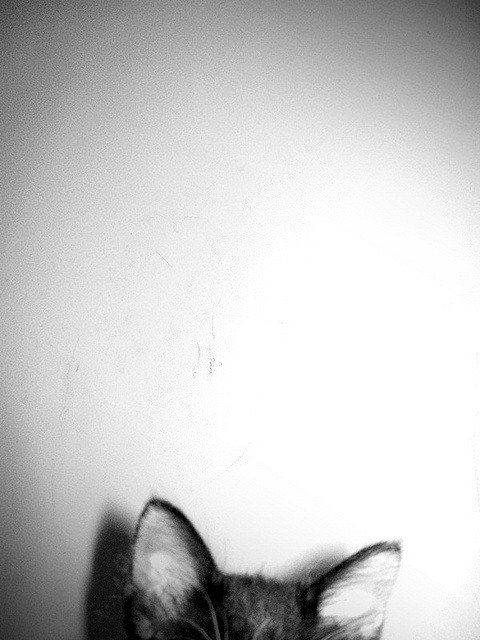 Archillect Archive ID 764