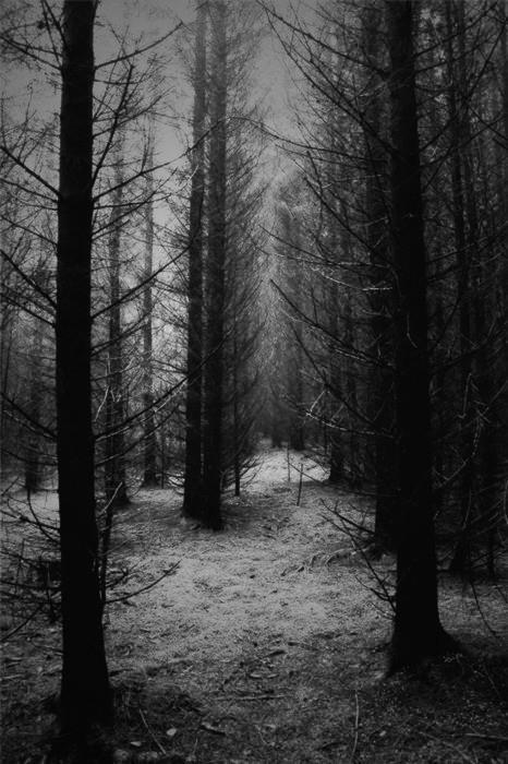 Archillect Archive ID 7762