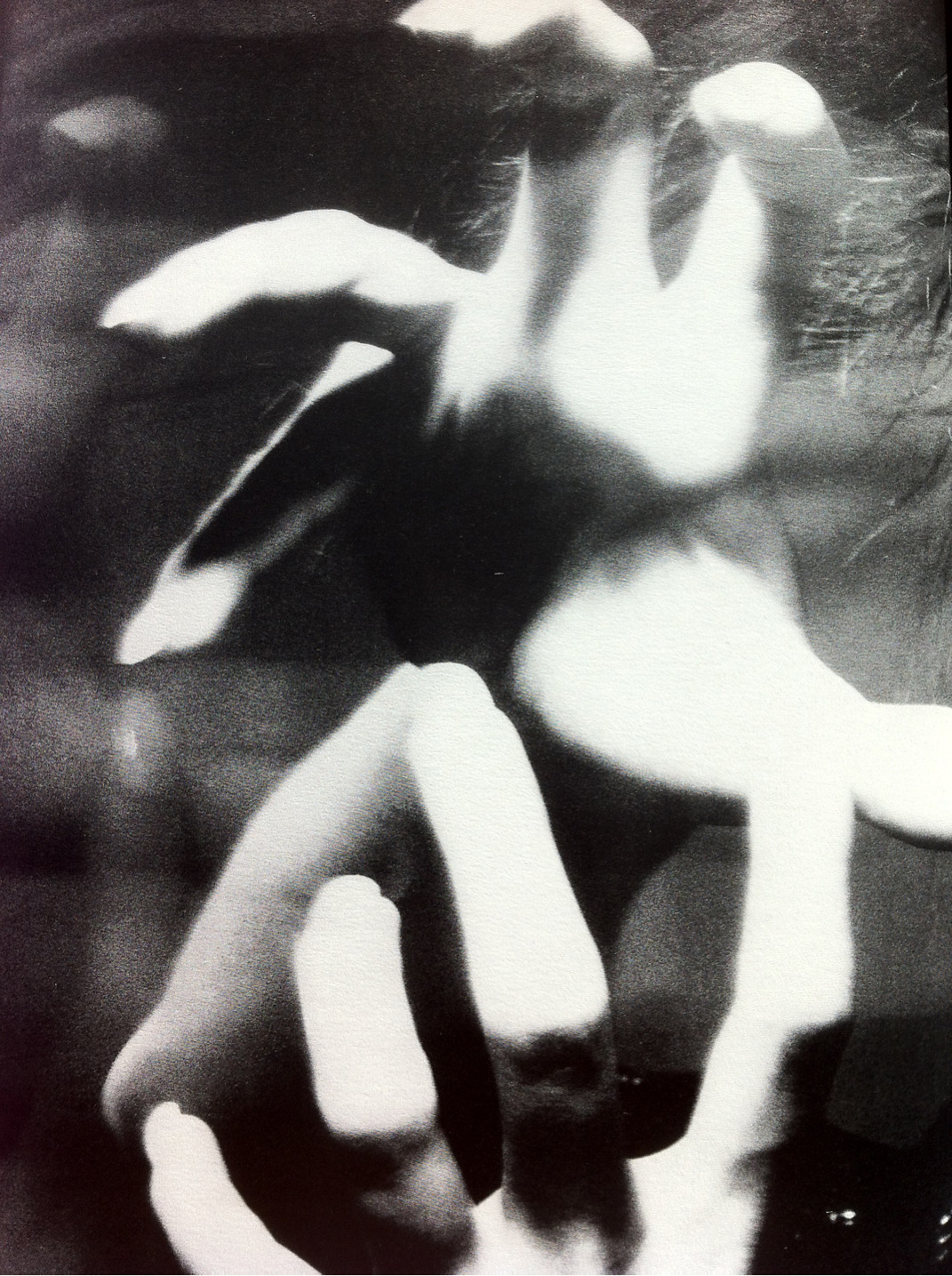 Archillect Archive ID 7783