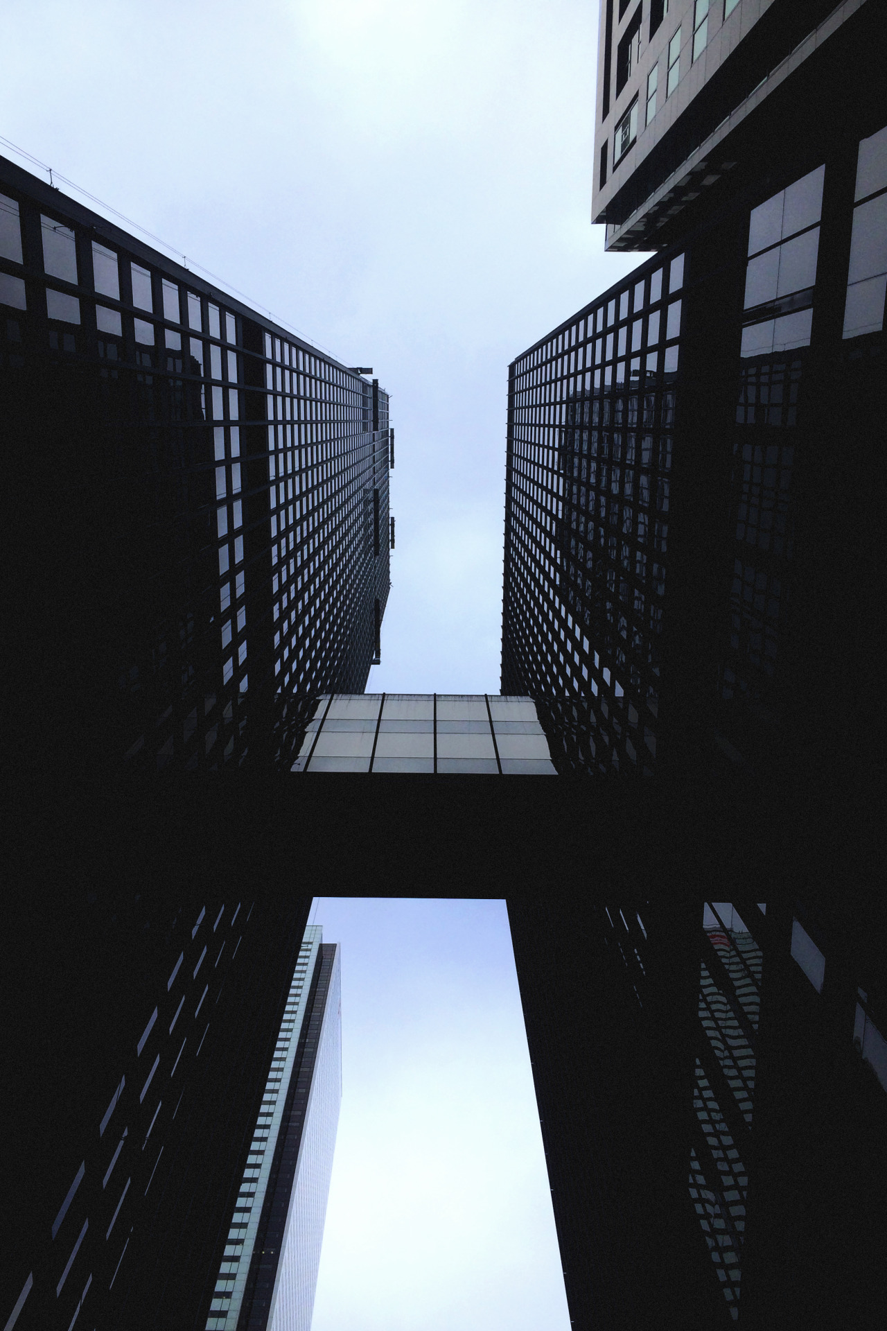 Archillect Archive ID 7801