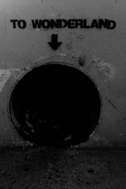 Archillect Archive ID 783