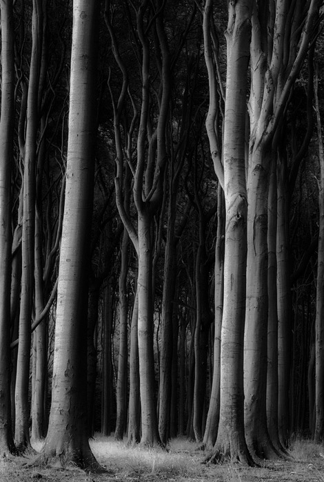 Archillect Archive ID 7843