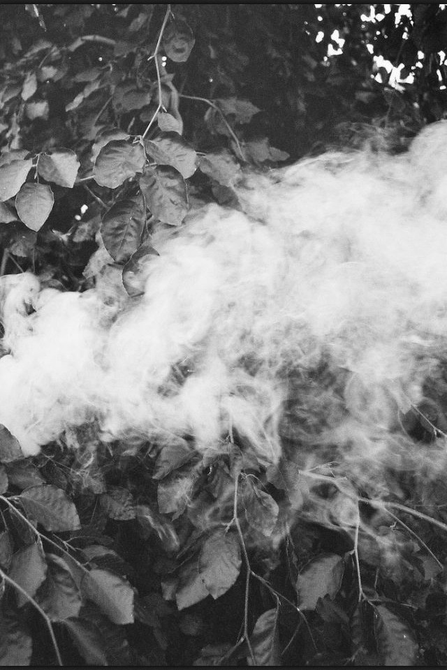 Archillect Archive ID 7868