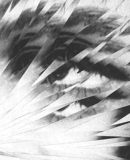Archillect Archive ID 7880