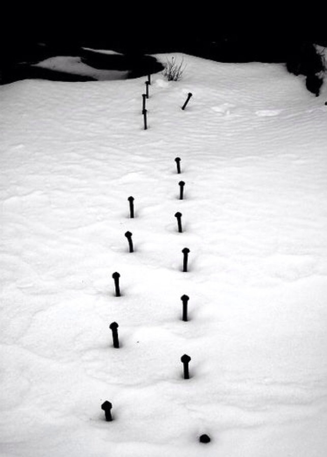 Archillect Archive ID 7889