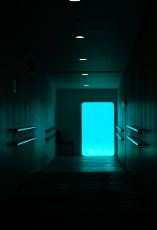 Archillect Archive ID 80