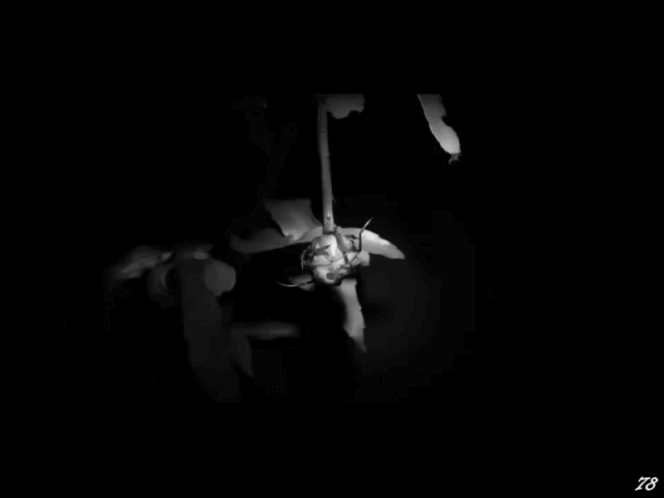 Archillect Archive ID 8018