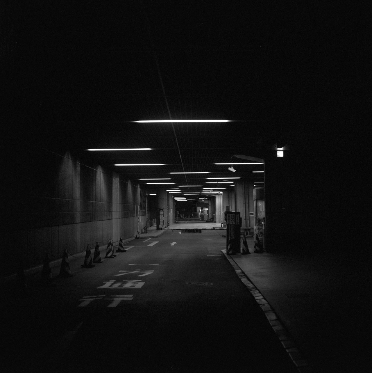 Archillect Archive ID 8043